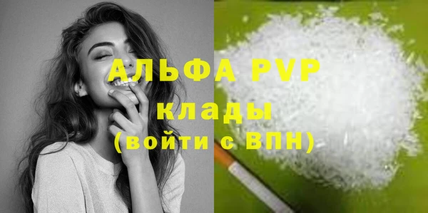 стаф Абаза