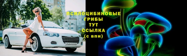 стаф Абаза