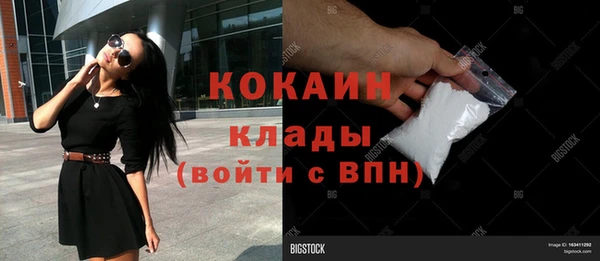 стаф Абаза