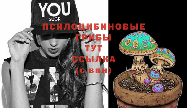 стафф Абдулино