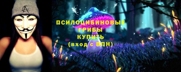 стафф Абдулино