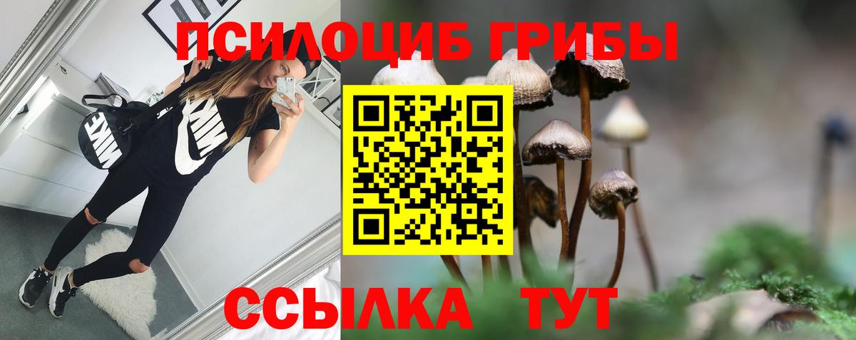 Галлюциногенные грибы Psilocybine cubensis  Вход с VPN  Александров 