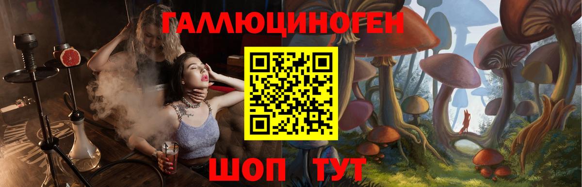 Псилоцибиновые грибы мухоморы  закладки  Александров 